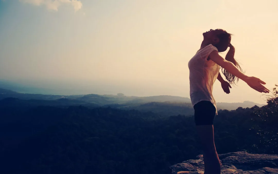 Divi 5 Test