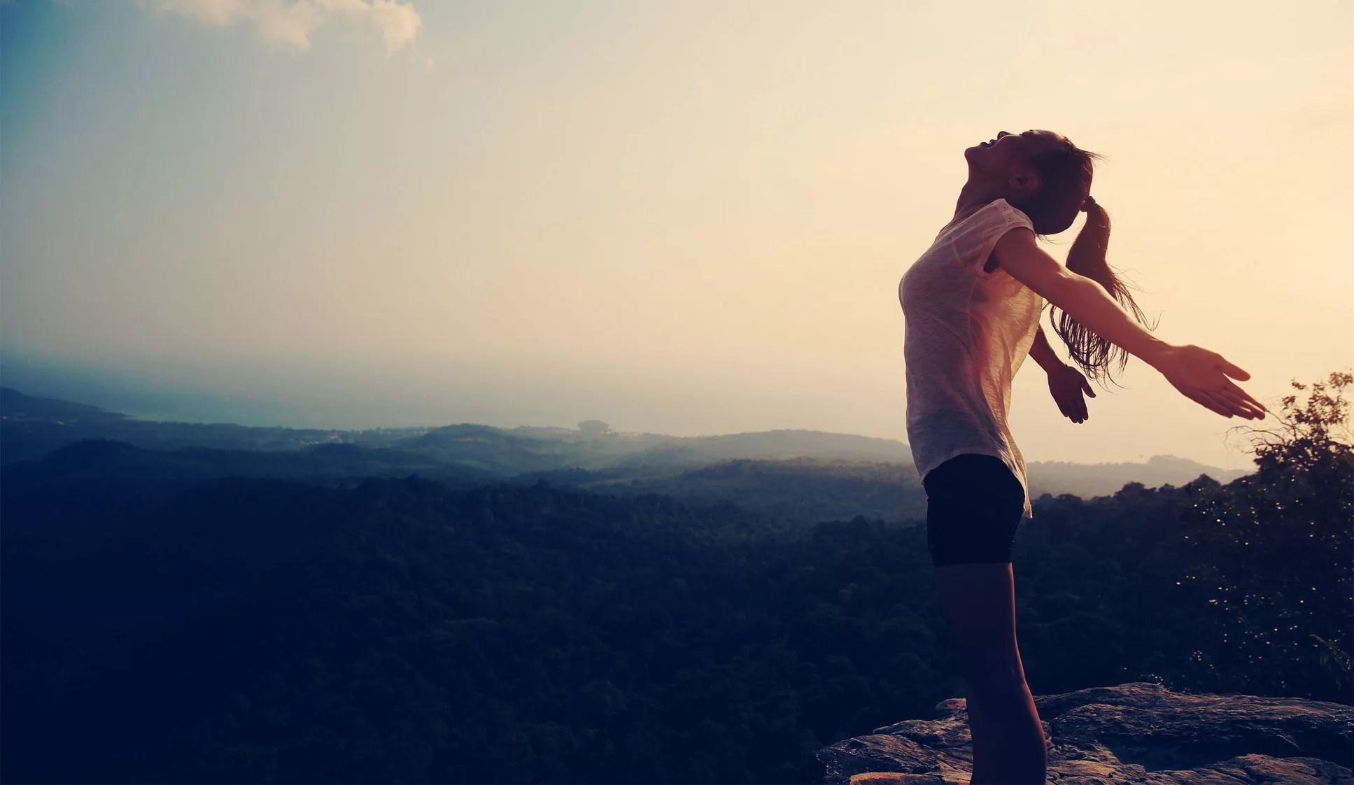 banner-image-opt